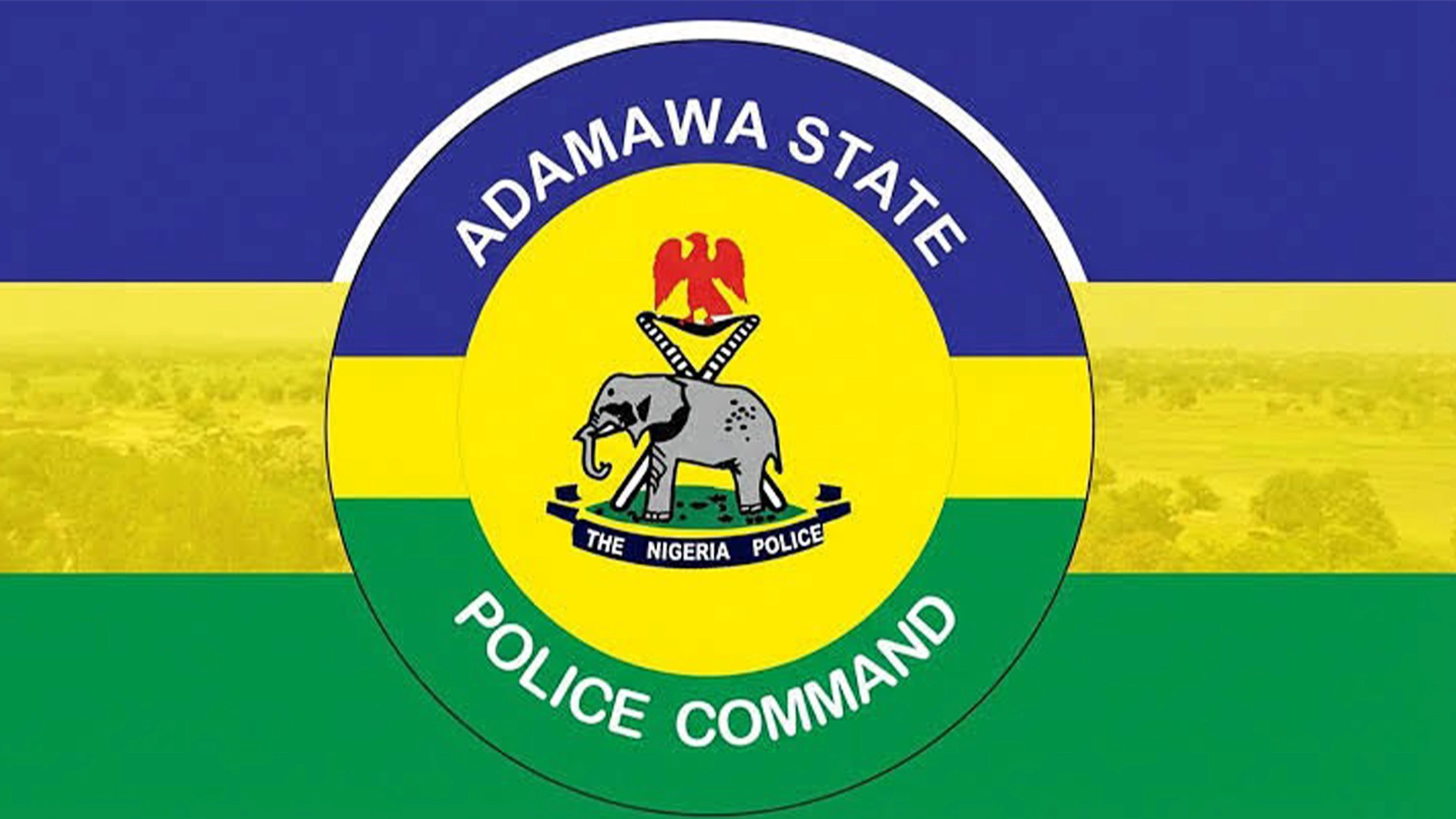 54-yr-old teacher arrested for allegedly defiling 10-yr-old girl in Adamawa